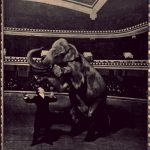 Disappearing_Elephant-Harry_Houdini