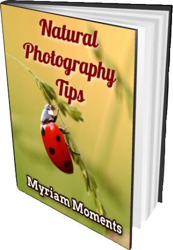 Ebook Cover - Natural Photography Tips - Myriam Moments - Hard Cover Open